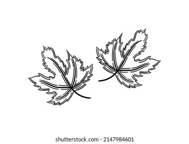 hand drawn leaf with autumn theme, on a white background