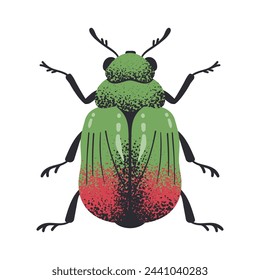 Escarabajo de hoja dibujado a mano. Insecto de insecto de hoja rayada verde, escarabajo lindo aislado ilustración vectorial plana. Caricatura escarabajo pequeño en blanco