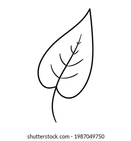 Hand drawn leaf black coloring. Isolated on white background. Vector botanical illustration. Hand-drawn doodle floral elements. Spring and summer flower and plant vector in line art or outline style. 