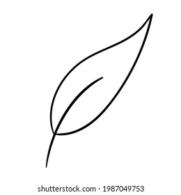 Hand drawn leaf black coloring. Isolated on white background. Vector botanical illustration. Hand-drawn doodle floral elements. Spring and summer flower and plant vector in line art or outline style. 
