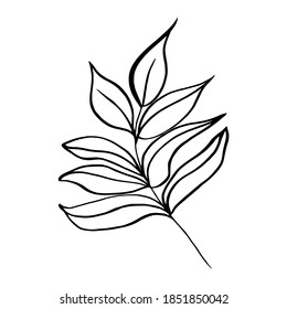 Hand drawn  leaf, branch.
Vector illustration for  card, home decor. 
Hand drawn plant for decoration