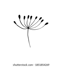 Hoja dibujada a mano, rama.
Ilustración vectorial para tarjeta, decoración doméstica. 
Planta dibujada a mano para la decoración