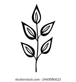 Hand drawn leaf of buckeye tree. Vector illustration.