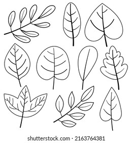 Hand drawn leaf cartoon in outline style