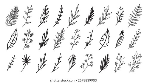 hand drawn of leaf collection element