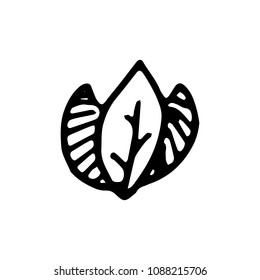 Hand drawn leaf doodle icon. Hand drawn black sketch. Sign symbol. Decoration element. White background. Isolated. Flat design. Vector cartoon illustration.