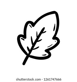 Hand drawn leaf doodle icon. Hand drawn black sketch. Sign symbol. Decoration element. White background. Isolated. Flat design. Vector cartoon illustration.