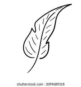 Hand drawn leaf. Doodle line palm leaf icon. Sketch black and white plant branch. Vector line art illustration isolated on white background.