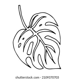 Hand drawn leaf. Doodle line palm monstera leaf icon. Sketch black and white plant branch. Vector line art illustration isolated on white background.