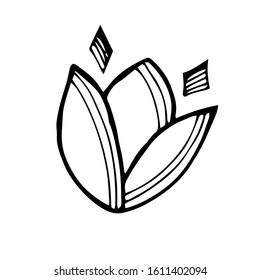 Hand drawn of leaf doodle on white background. Vector illustration design for wedding, logo, templates, invitation and easter concept.