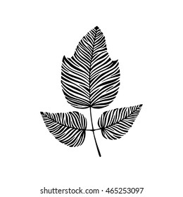 Hand drawn leaf. Eco icon.