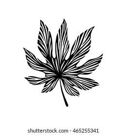 Hand drawn leaf. Eco icon.