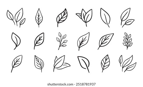 Dibujado a mano hoja eco conjunto. Iconos de hoja de doodle de línea negra. Ilustración vectorial