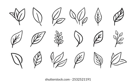 Dibujado a mano hoja eco conjunto. Iconos de hoja de doodle de línea negra. Ilustración vectorial