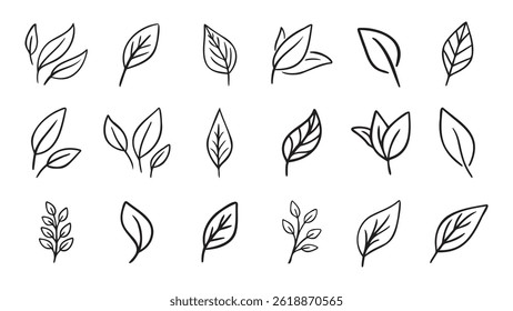 Dibujado a mano hoja eco conjunto. Iconos de hoja de doodle de línea negra. Ilustración vectorial