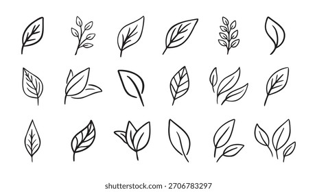 Dibujado a mano hoja eco conjunto. Iconos de hoja de doodle de línea negra. Ilustración vectorial