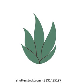 Elemento de hoja dibujada a mano para su diseño