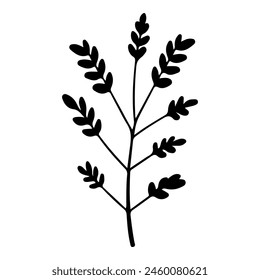 Hand drawn leaf of English oak tree. Vector illustration.
