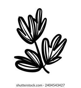 Hand drawn of leaf floral, doodle sketch leaves floral. leaf decoration, floral wreath sketch doodle. Vector Flowers and plants hand drawn illustrations.