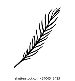 Hand drawn of leaf floral, doodle sketch leaves floral. leaf decoration, floral wreath sketch doodle. Vector Flowers and plants hand drawn illustrations.