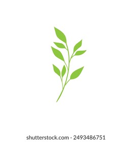 Hand drawn leaf icon flat vector design