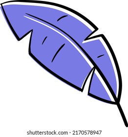 Hand drawn leaf illustration for decoration