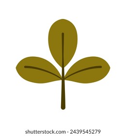 hand drawn leaf illustration design