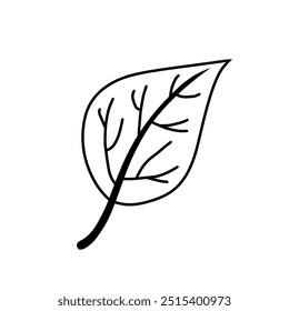 hand drawn leaf illustration design