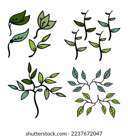 Hand drawn leaf illustration in doodle style