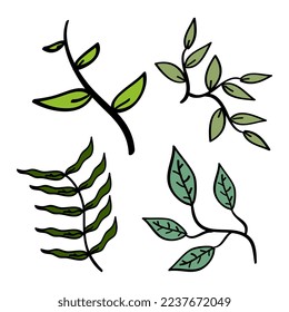 Hand drawn leaf illustration in doodle style