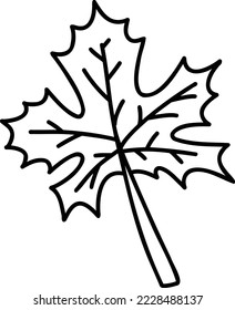 Hand Drawn leaf illustration isolated on background