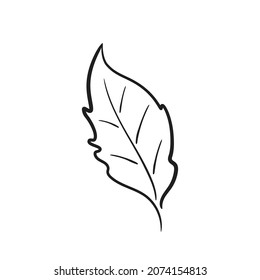 hand drawn leaf image. sketchy contour illustration. vector floral element for greeting card and invitation design