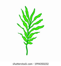Hand Drawn leaf isolated on white background. Template for postcard, banner, poster, packaging, web design. Vector illustration.