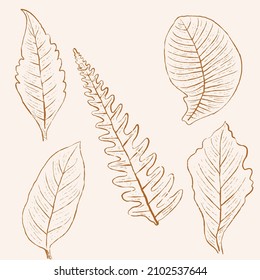 hand drawn leaf line art, hand drawn nature painting. Free hand sketch illustration.