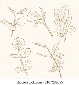 arte de la línea de la hoja dibujada a mano, pintura de la naturaleza dibujada a mano. Ilustración de esbozo a mano libre.