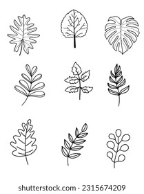 Hand drawn leaf line art collection.Vector illustration.