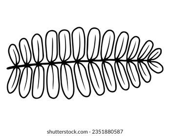 Hand Drawn Leaf Line Art Illustration
