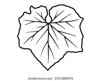 Hand Drawn Leaf Line Art Illustration
