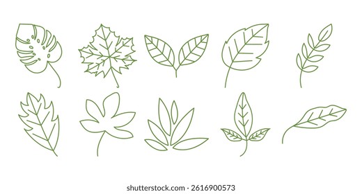 Hand Drawn Leaf Line Collection