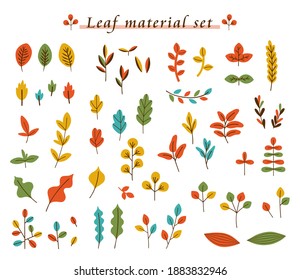 hand drawn leaf material set