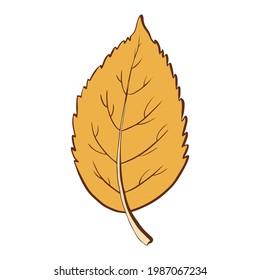 Hand drawn leaf orange and yellow colorful isolated on white background. Vector botanical illustration. Spring and summer hand-drawn doodle floral elements. plant vector in line art or outline style. 