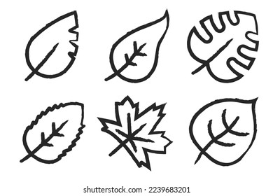 Hand Drawn Leaf Outlines Vectorart