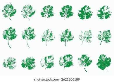 Hand Drawn Leaf Print Vector Set – Botanical Foliage Impressions for Eco-Friendly Design