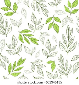 Hand drawn leaf seamless pattern.Tea  vector illustration