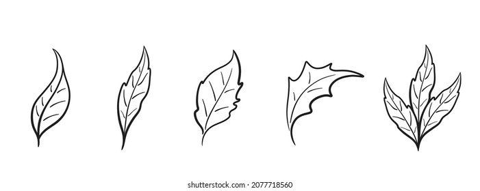 hand drawn leaf set. sketchy botanical illustrations. vector floral elements for greeting cards and invitation design
