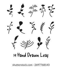 Hand Drawn Leaf Set Vector Illustration