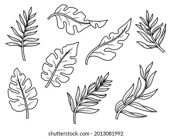 Hand drawn leaf sketch line art illustration set