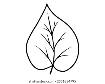 Hand Drawn Leaf Sketch Line Art Illustration