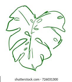 Hand drawn leaf, sketch tropical plant
