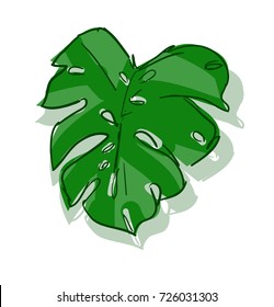 Hand drawn leaf, sketch tropical plant
